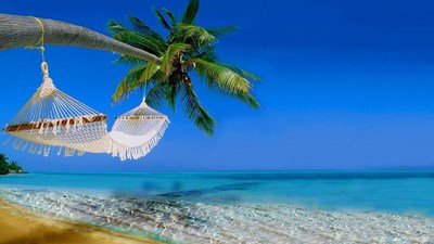 Cruise Ship Shore Excursions