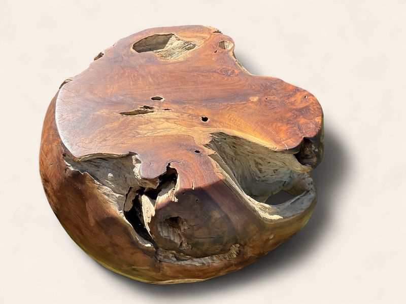 Teak rootball coffee table