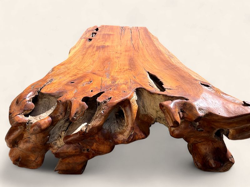 Teak stump coffee table with bow ties