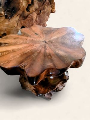 Organic Teak Root Side Table with Natural Grain