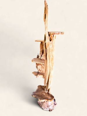 Tall Teak Root 4-Shelf Display Stand