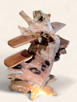 XL Teak Root 4-Shelf Display Stand