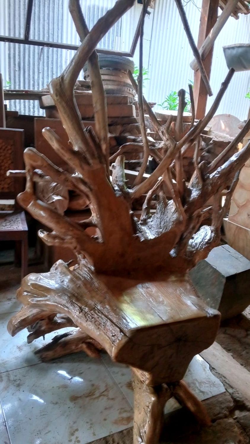Teak Stump Kings Chairs