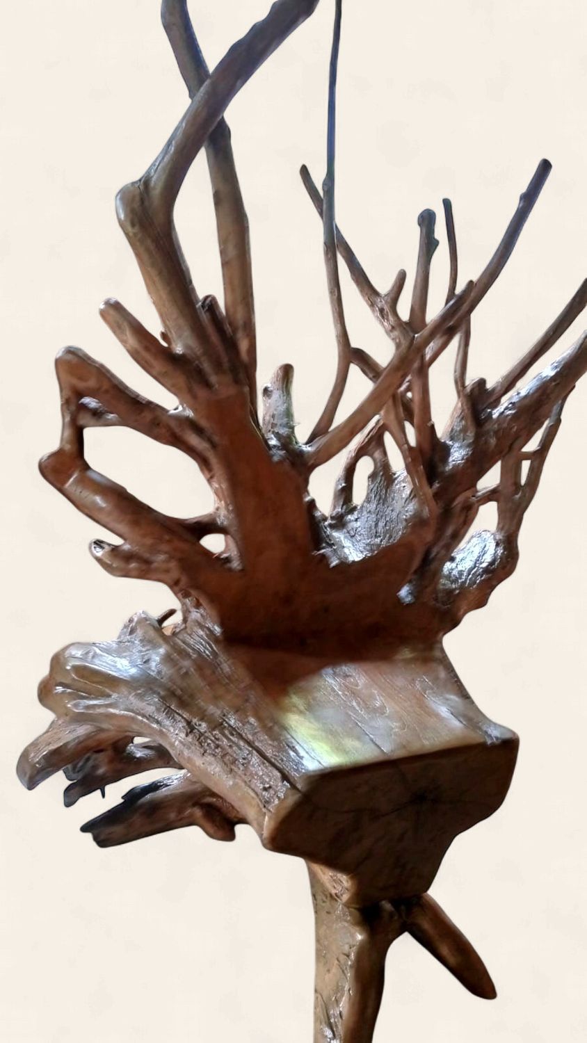 Teak Stump Kings Chairs