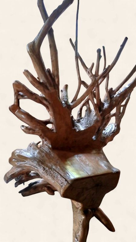 Teak Stump Kings Chairs