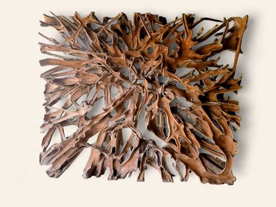 Large Natural Teak Root Architectural Screen