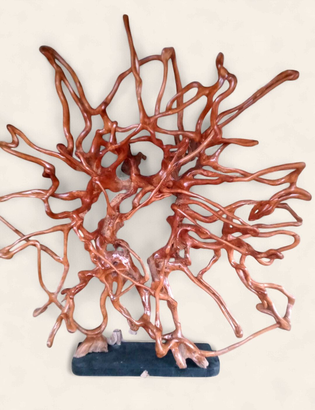 Teak Root Sculpture