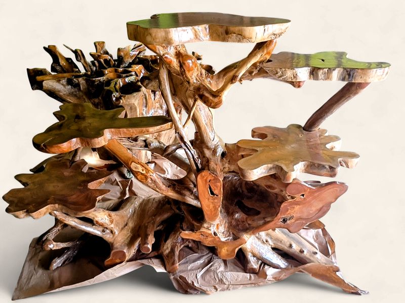 XL Teak Root Display