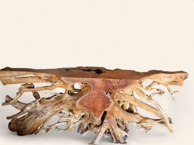 Teak Root &amp; Burl Console Table