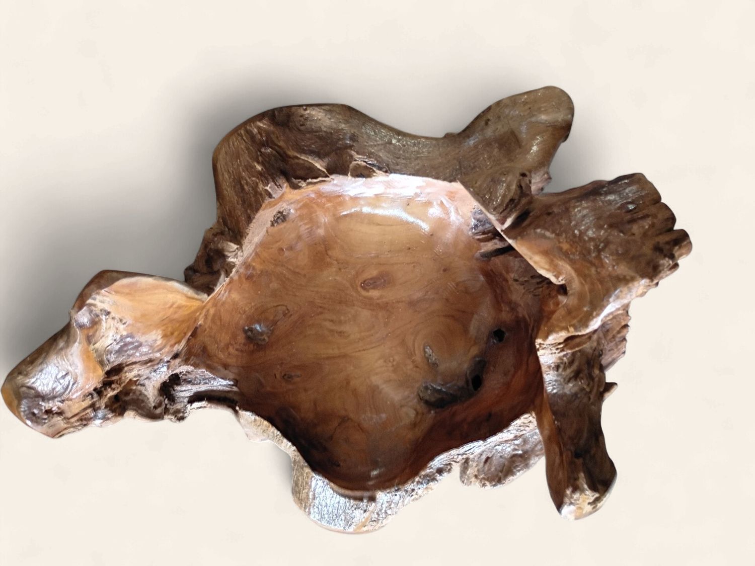 Teak Root Vesels