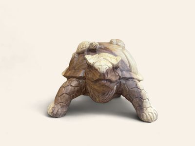 Carved Turtle