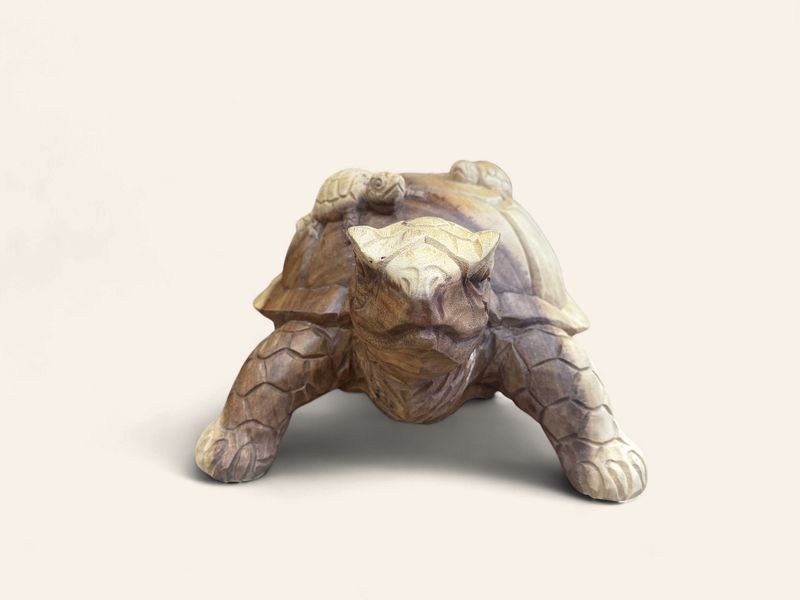 Carved Turtle