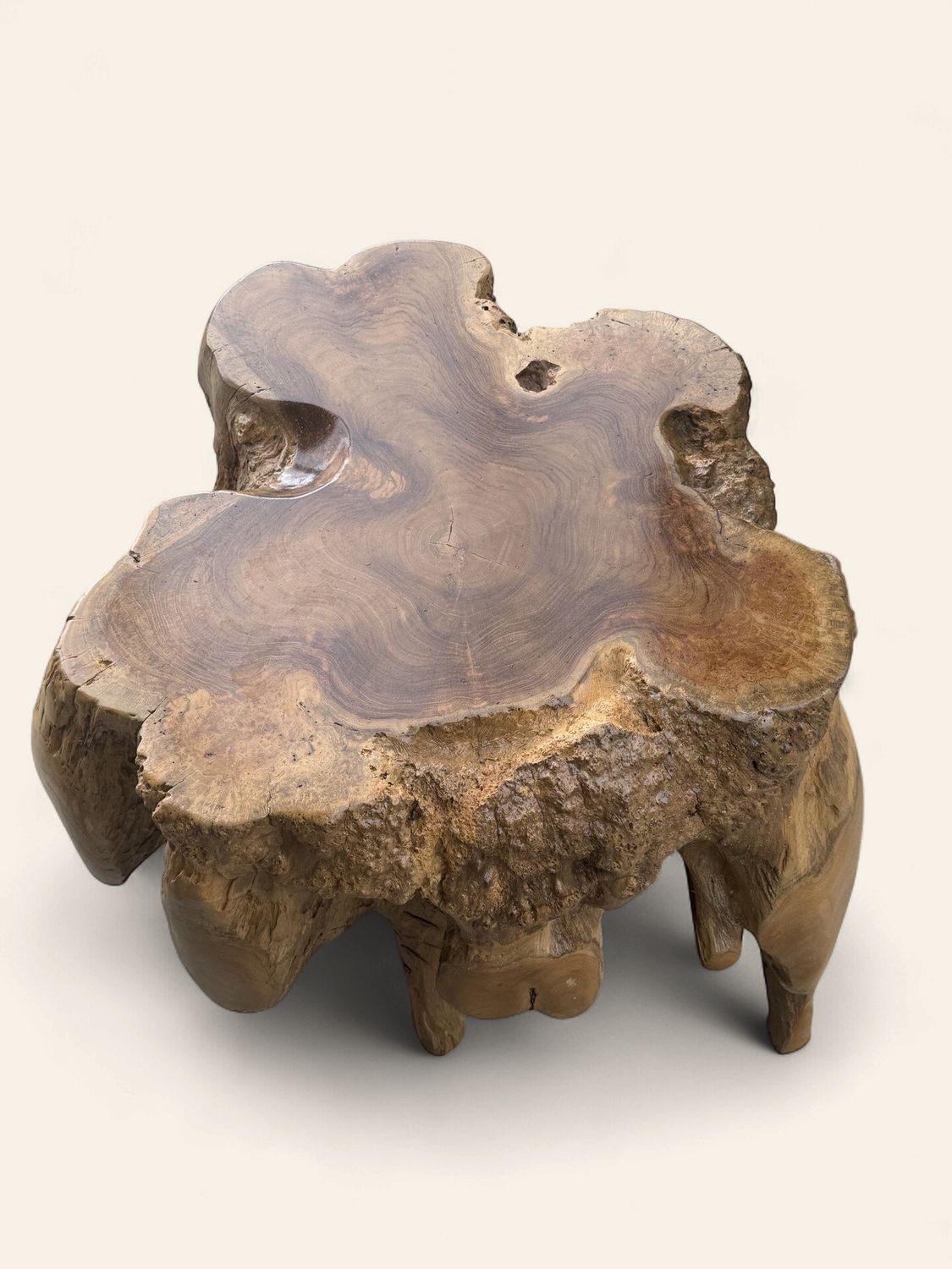 Teak Burl Spider Stump