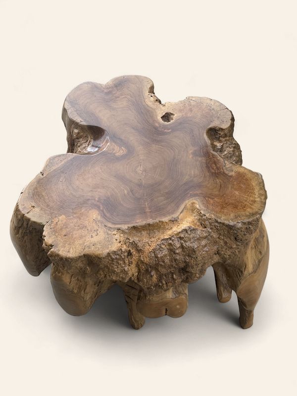 Teak Burl Spider Stump