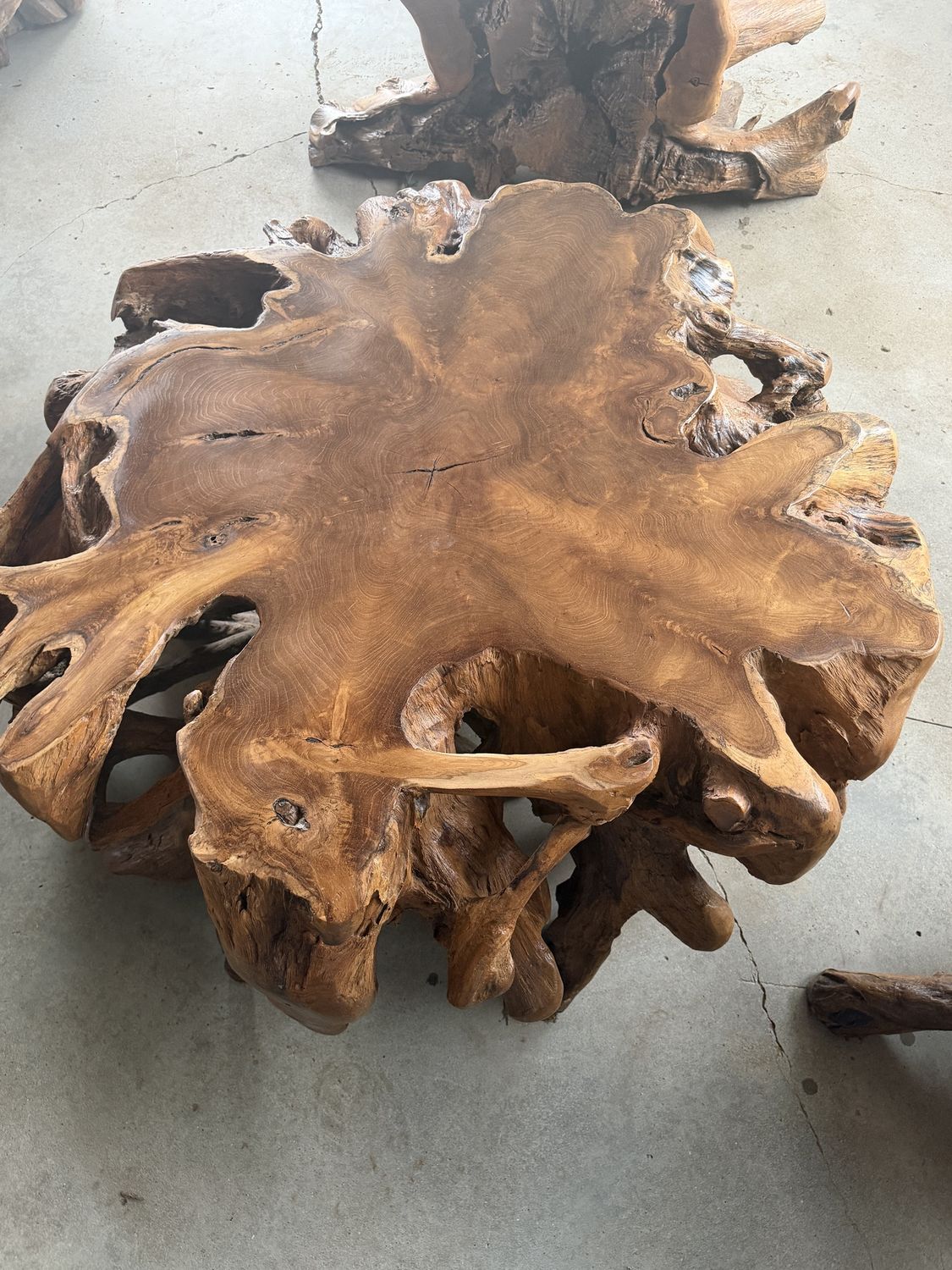 Teak Root Spider Coffee Table