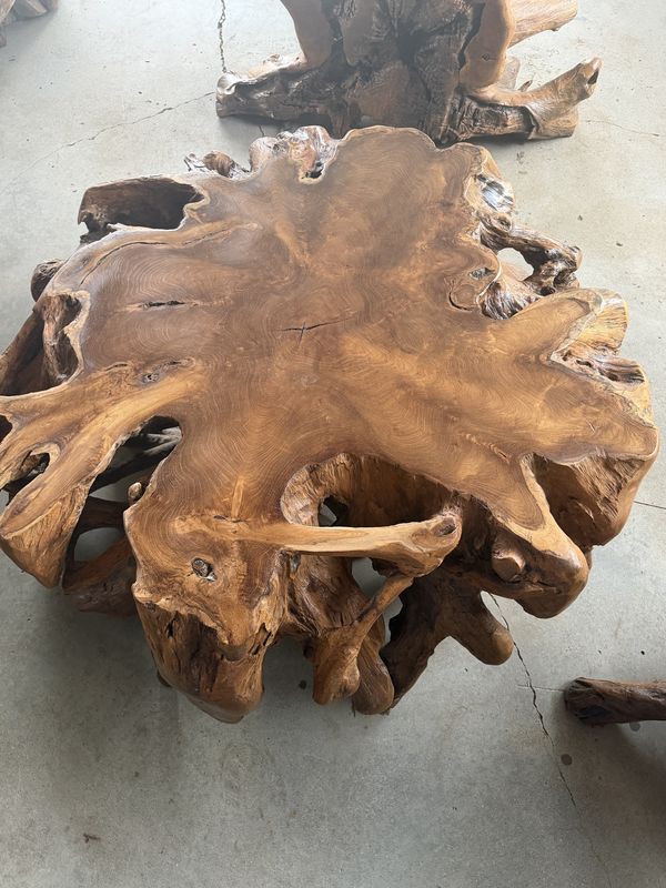 Teak Root Spider Coffee Table