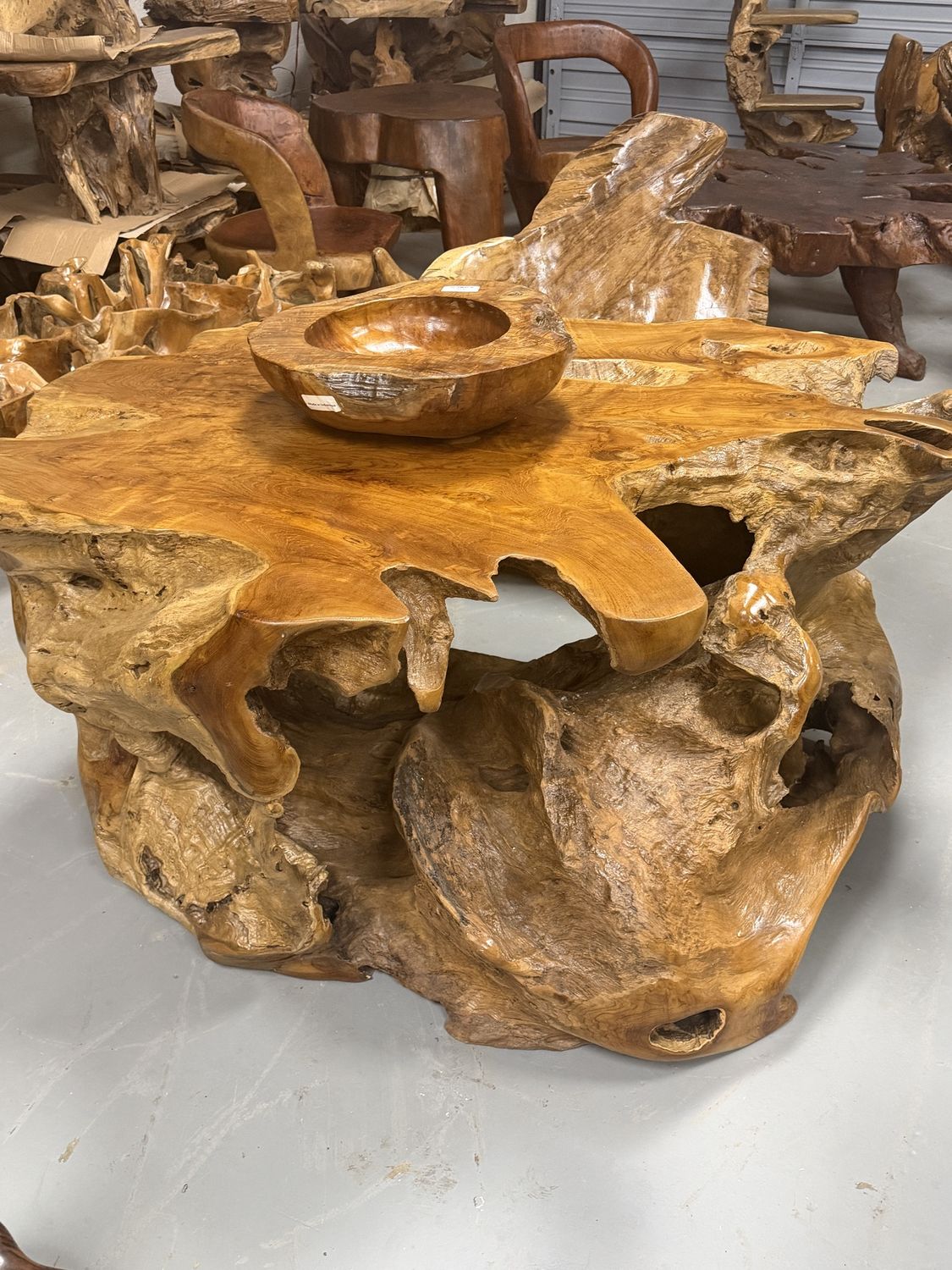 XXXL Teak Root Coffee Table