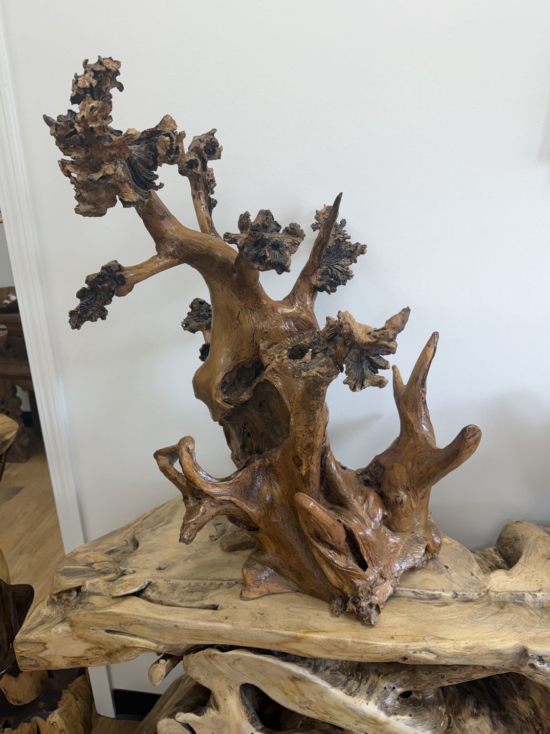 Teak Burl Sculpture