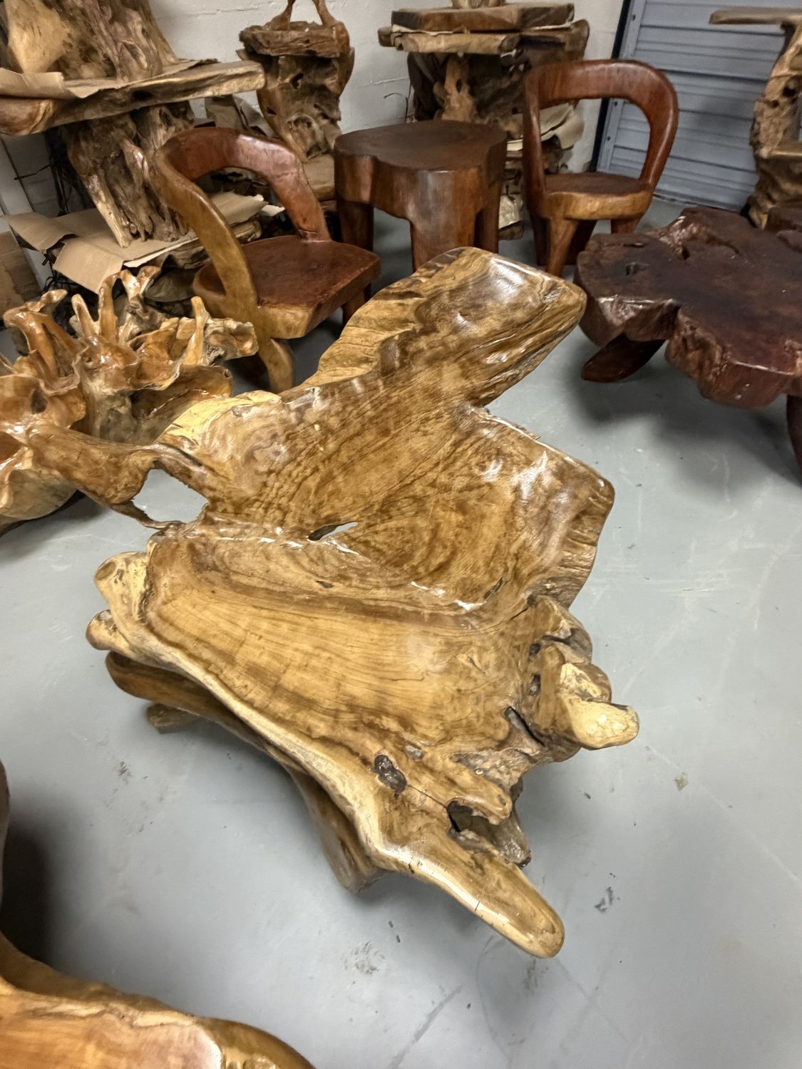 Teak Root Chairs with Back (Medium)