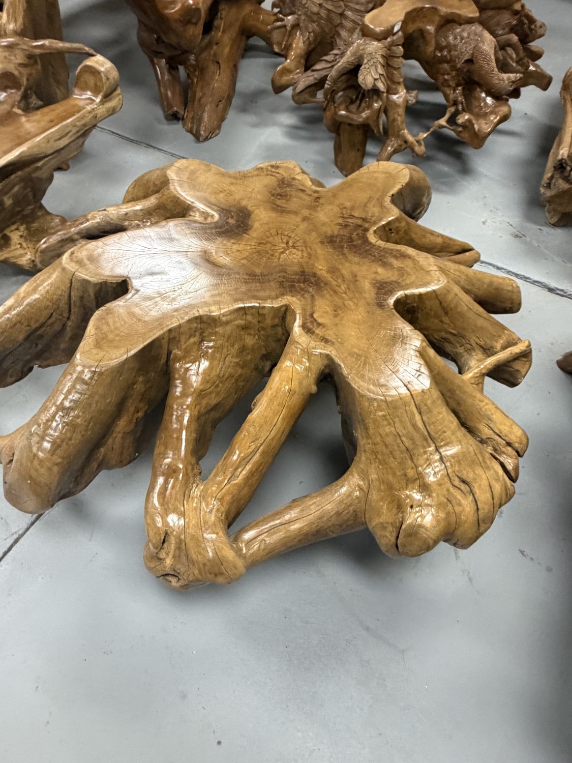 XL Teak Root Spider Table