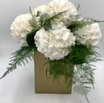 ​Lux Hydrangea