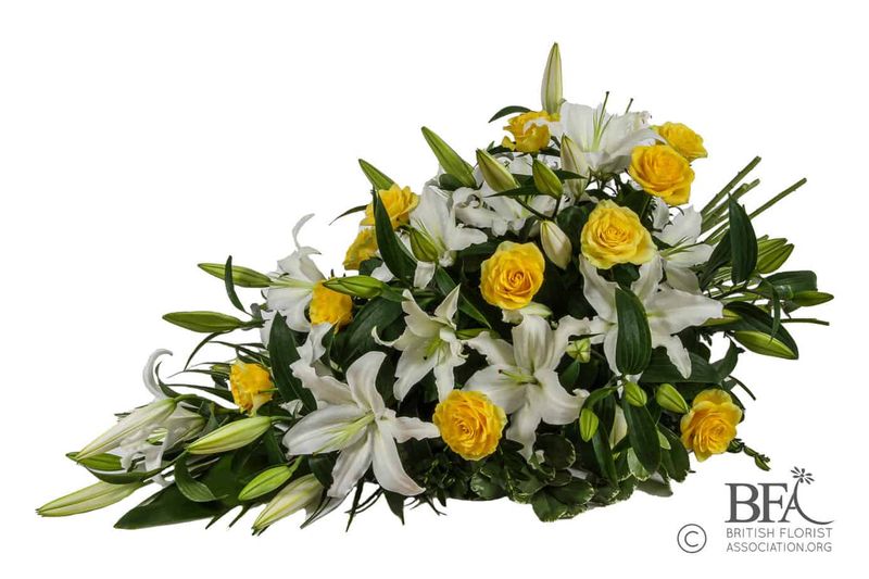 White and Yellow Sheave