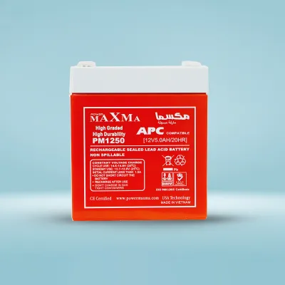 UPS Battery