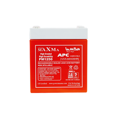 UPS Battery