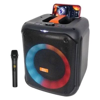 ZQ8128 20W 3000mAh Speaker