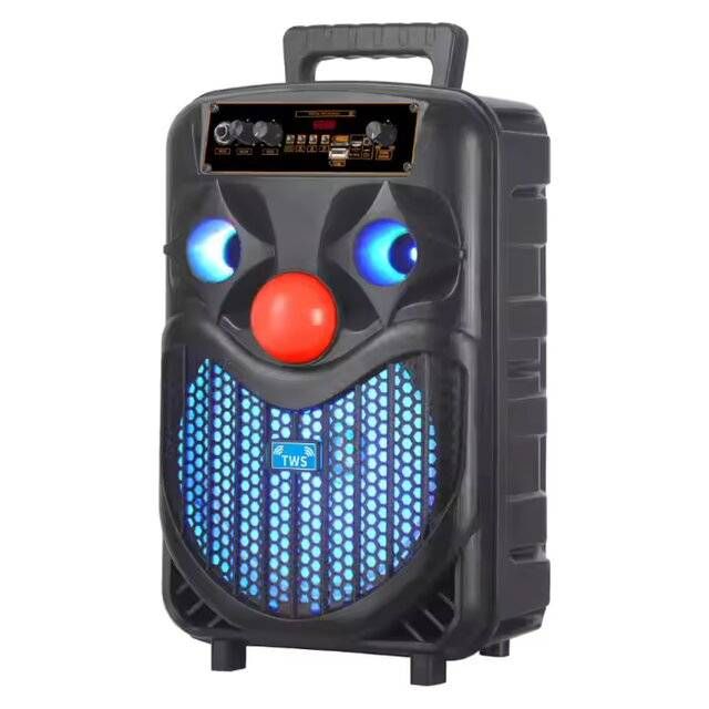 NDR-P66 [8"] Speaker