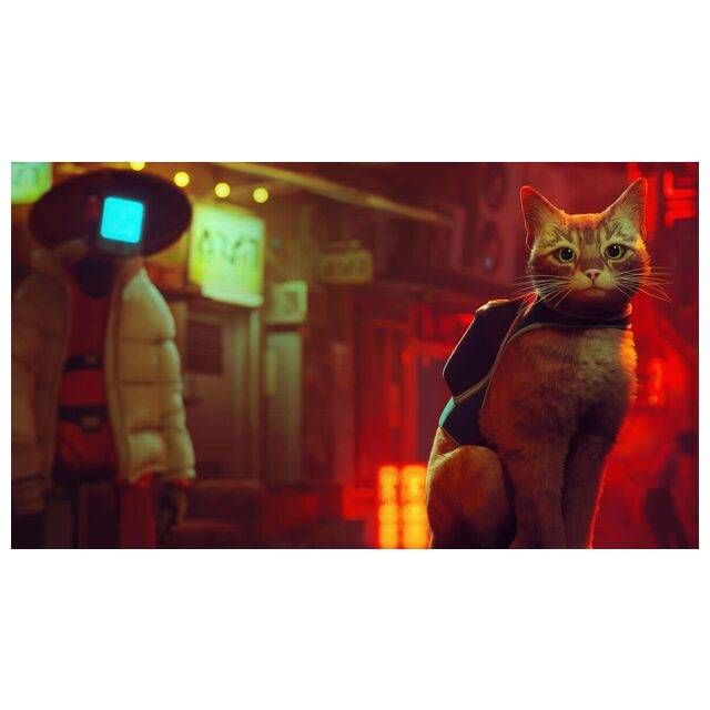 Stray / (PS5)