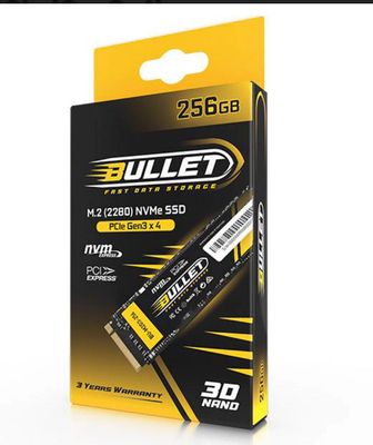 Bullet 256GB M.2 (2280) NVMe PCIe [Gen3x4]