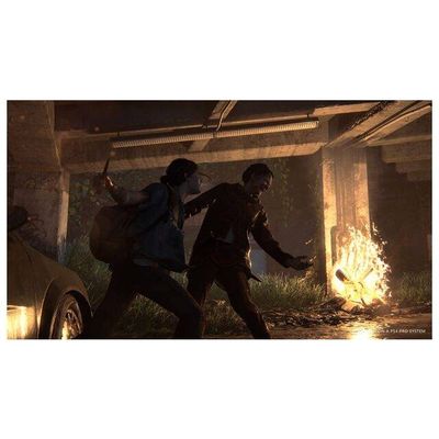 The Last of Us 2 / (PS4)