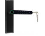 3S7302 tuya Fingerprint door lock