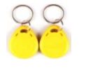 3ST-5 125KHz keytags