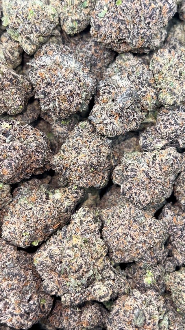 Bubblegum Gelato