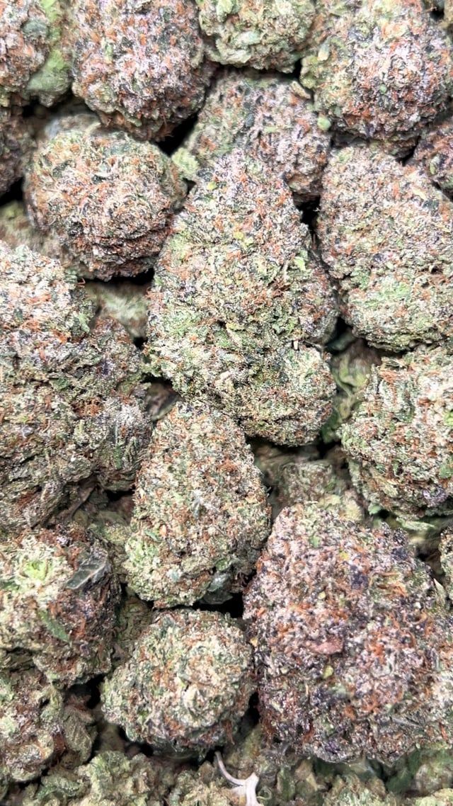 Bubblegum Gelato