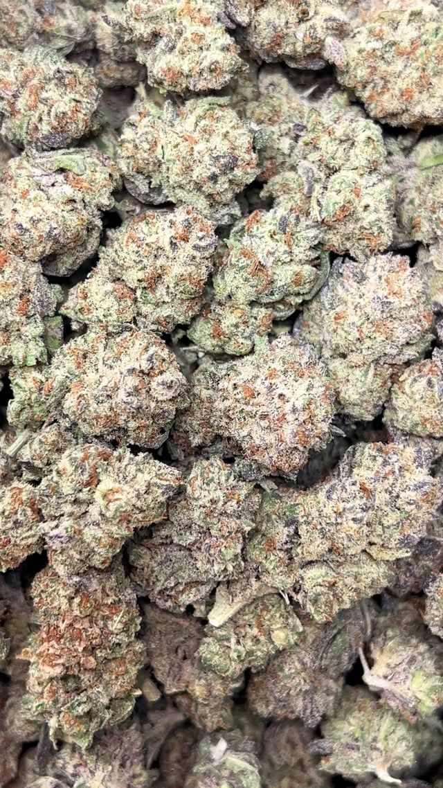 White Trufflez