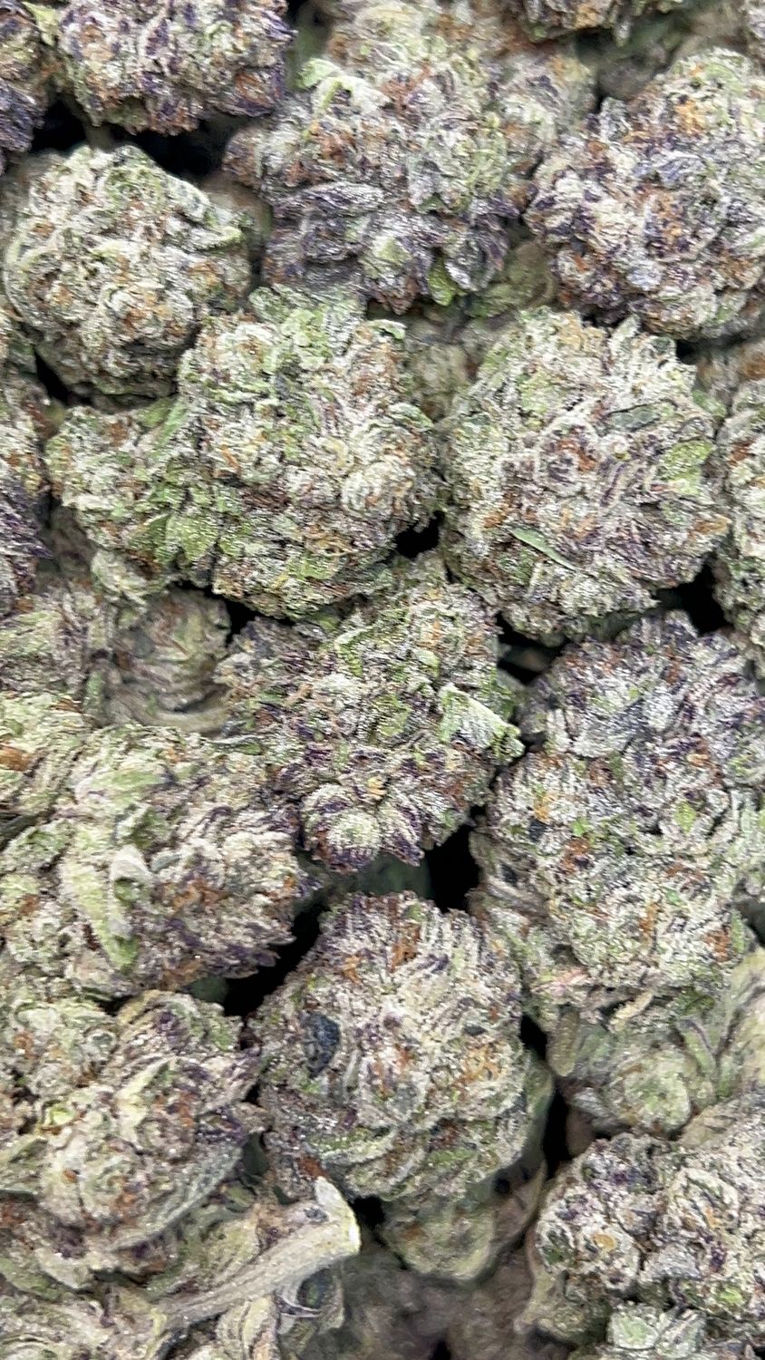 Rainbow Trufflez