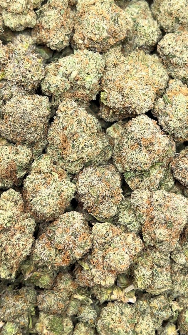 Bubblegum Gumbo