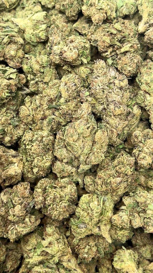 Chem Dawg