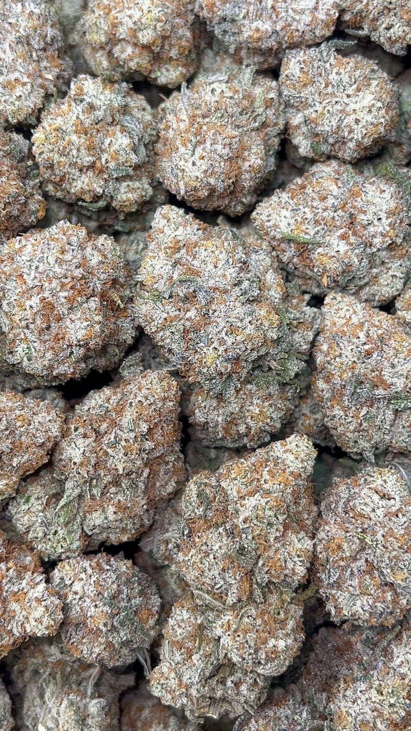 Rainbow Trufflez