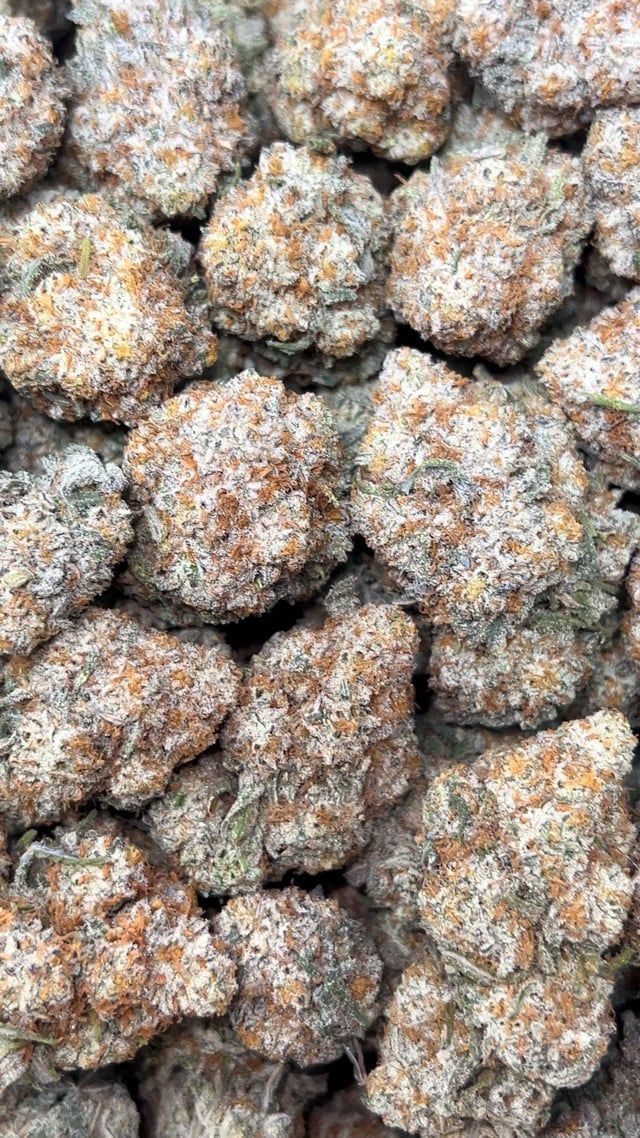 Rainbow Trufflez
