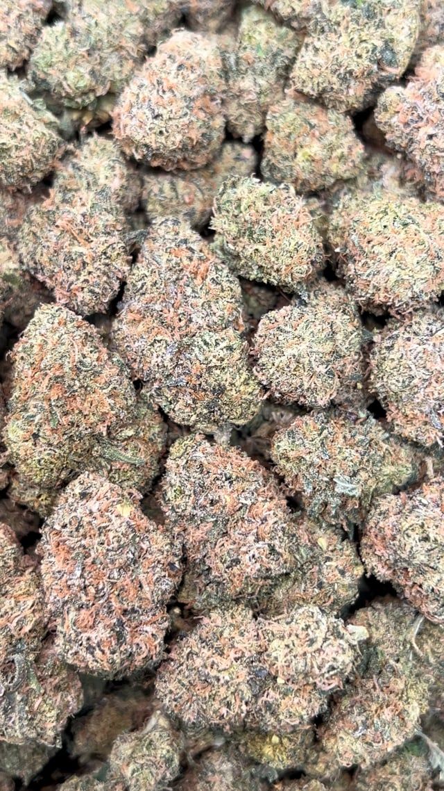 Pink Gelato