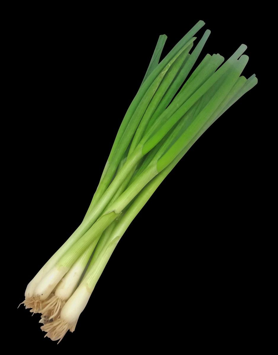 One Cebollin (Green Onion)