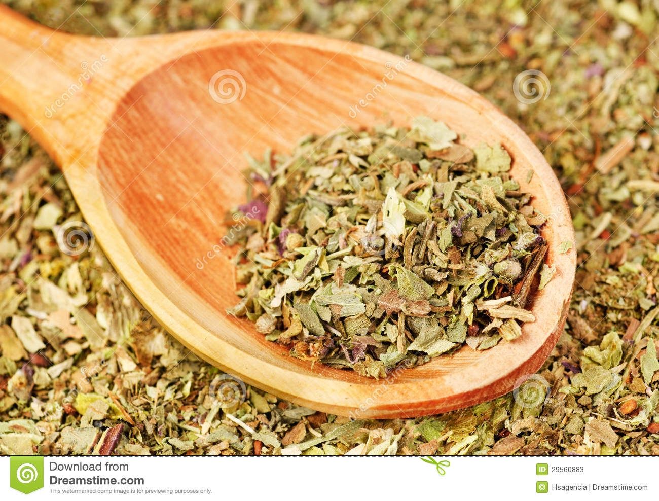 Basil / Albahaca Carabobo
