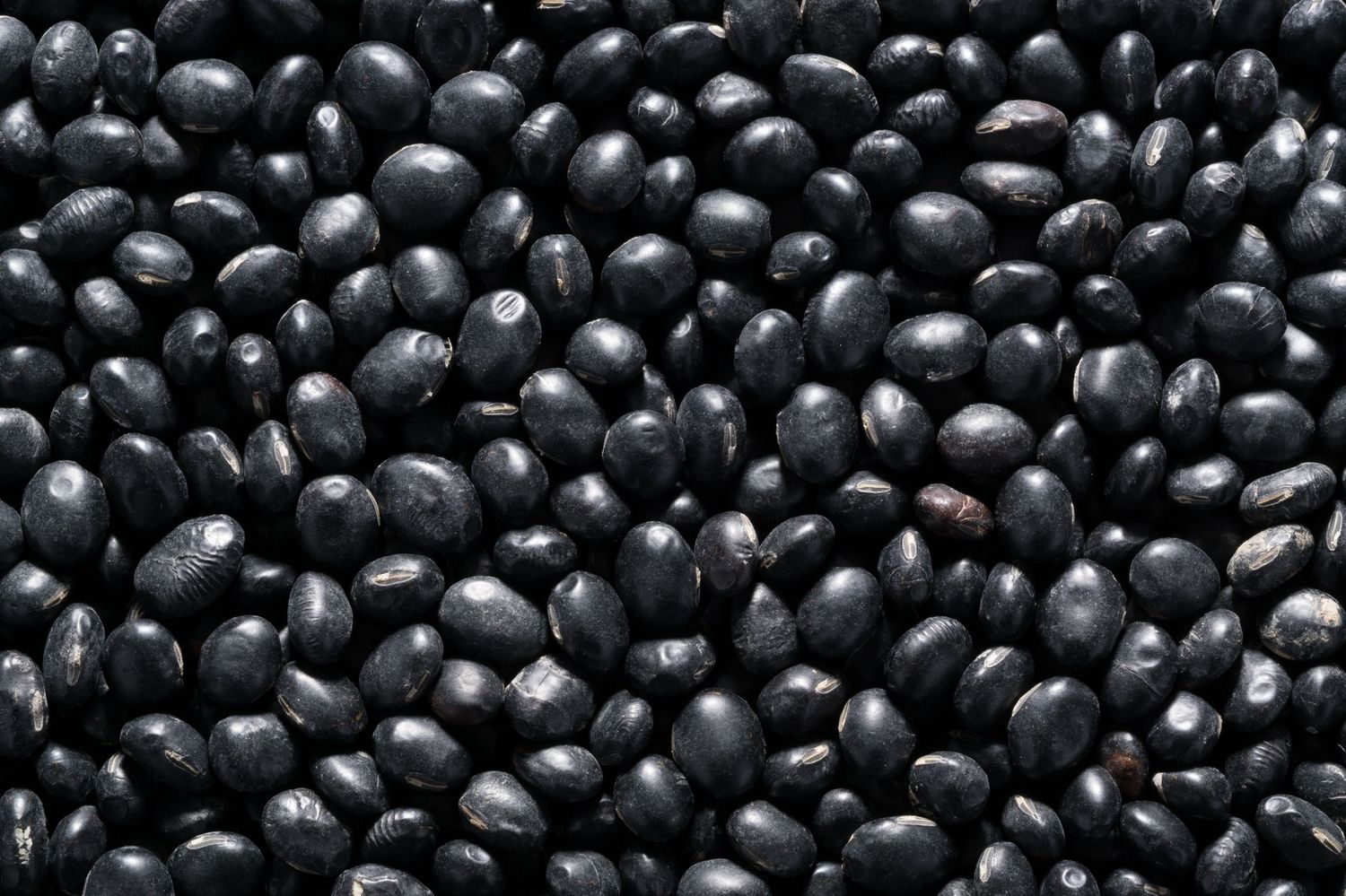 Dry Black Beans