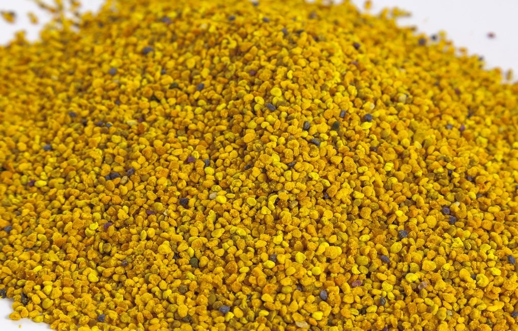 Pollen / Polen (4oz)