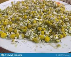 Chamomile