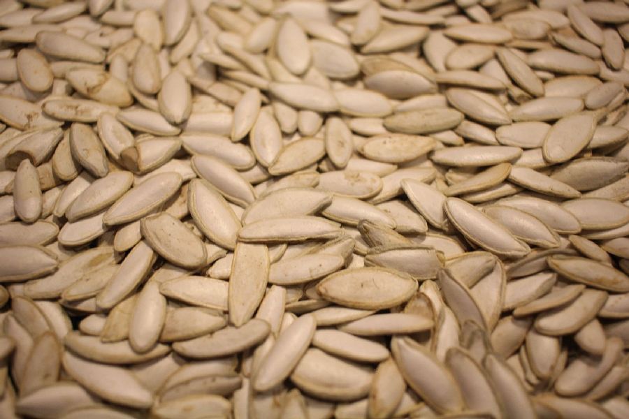 Pumpkin Seed With Shell